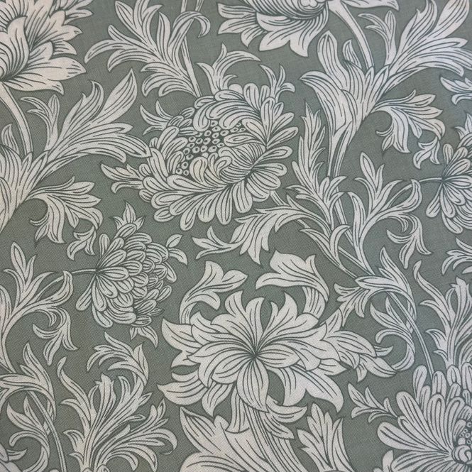 Hovedbilde Chrysanthemum, Tonal